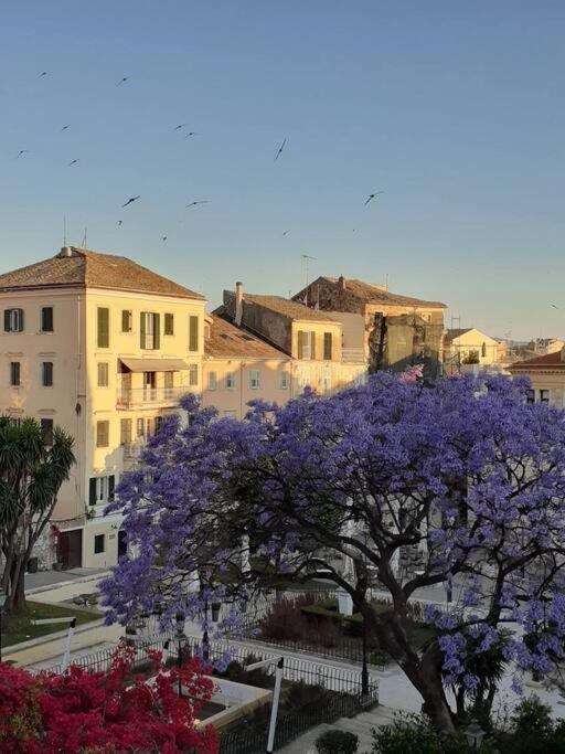 Апартаменты Old Town Corfu Romantic Studio Manto Nymfes Экстерьер фото